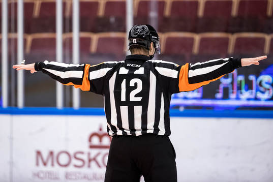 Domare Mikael Nordlöv