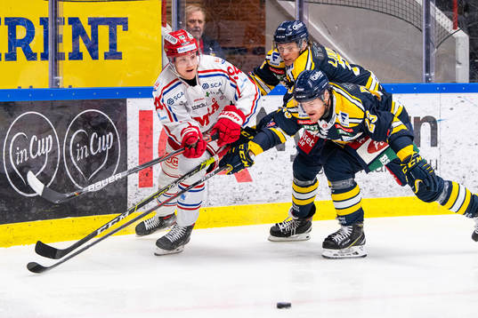 Timrås Sebastian Hartmann och Södertäljes Bobbo