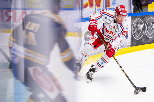 Timrås Morten Madsen