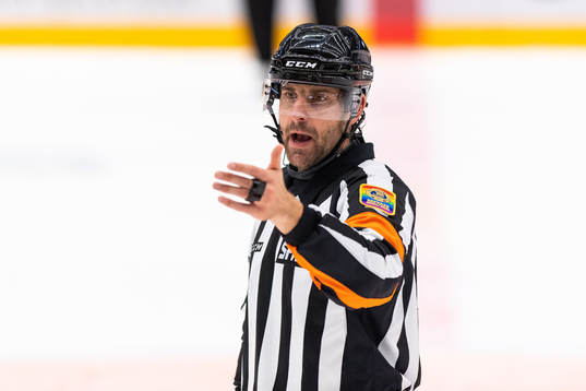 Domare Mikael Sjöqvist