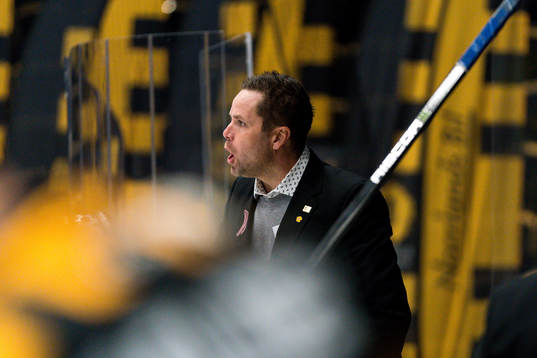 Skellefteås tränare Stefan Hedlund