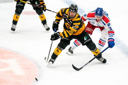 Skellefteås Simon Robertsson och Oskarshamns Pontus Näsén