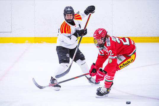 Brynäs Lara Stalder och Modos Jaycee Magwood