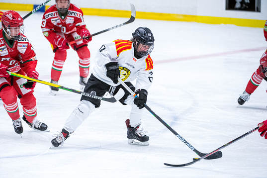 Brynäs Jaycee Gebhard