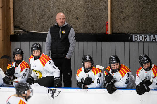 Brynäs tränare Henrik Glaas