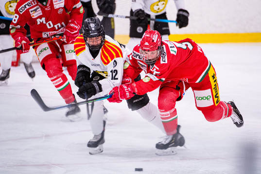 Brynäs Fanny Brolin och Modos Daniela Pejsova