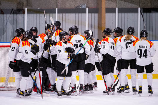 Bläddra bland fler bilder av Ishockey, SDHL, Modo - Brynäs