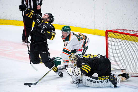 s Amil Krupic och målvakt Claes Endre