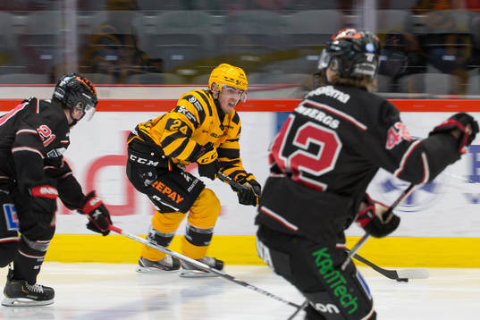 Skellefteås Andreas Wingerli