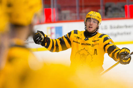 Skellefteås Andreas Wingerli deppar