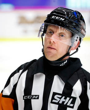 Domare Mikael Holm