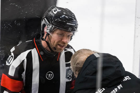 Domare Hampus Springare