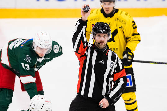 Domare Hampus Springare
