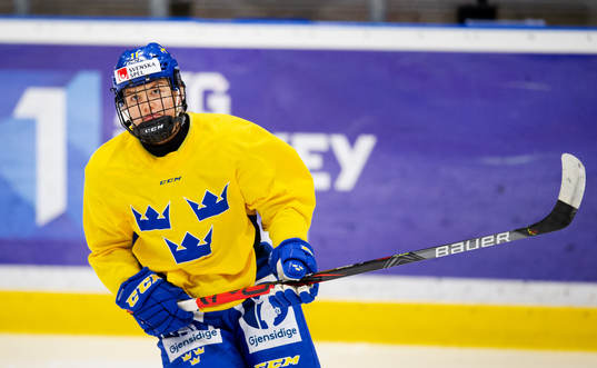 Josefin Bouveng