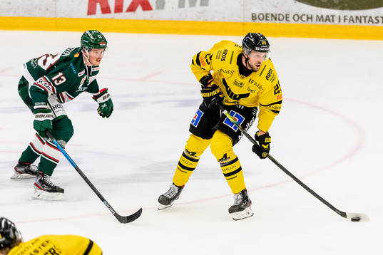 Tingsryds Rasmus Bengtsson och Västerås Marcus Bergman