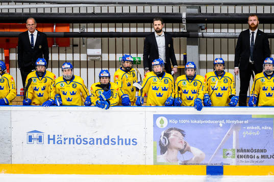 Head coach Ulf Lundberg of Sweden