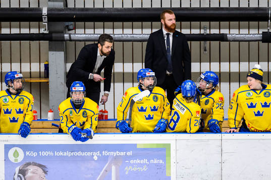 Head coach Ulf Lundberg of Sweden