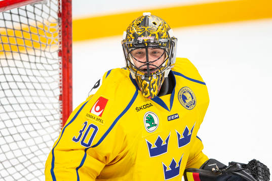 Samuel Ersson #30, SWE