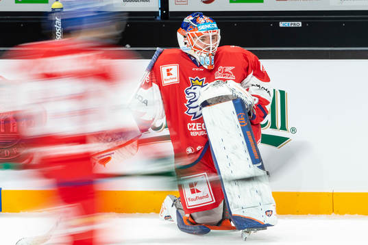 Dominik Hrachovina #49, CZE
