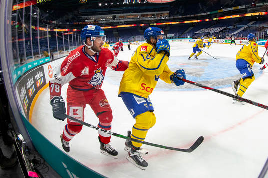 Tomas Zohorna #79, CZE, Max Friberg #12, SWE