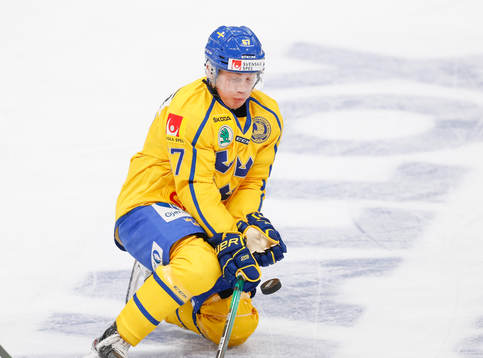 Leon Bristedt #67, SWE