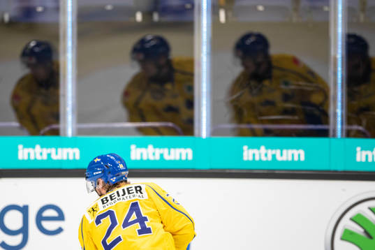Andreas Wingerli #24, SWE
