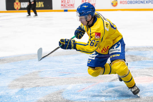 Leon Bristedt #67, SWE