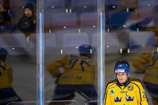 Lias Andersson #23, SWE