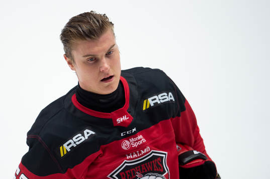 Malmö Redhawks Fredrik Händemark
