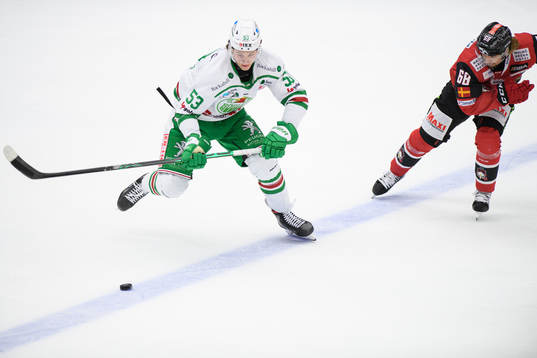 Rögles Moritz Seider och Malmö Redhawks Adam Brodecki