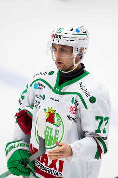 Rögles Daniel Zaar
