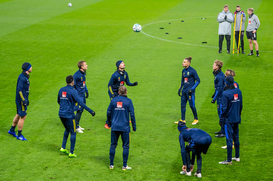 The players of the Swedish national football team
