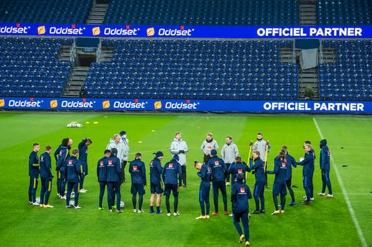 The players of the Swedish national football team