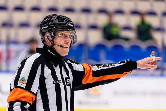 Domare Morgan Johansson