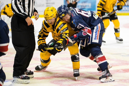 Skellefteås Andreas Wingerli och Linköpings Markus Ljungh