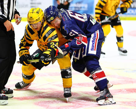 Skellefteås Andreas Wingerli och Linköpings Markus Ljungh
