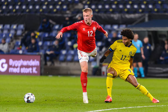 Kasper Dolberg of Denmark and Jens-Lys Cajuste of Sweden