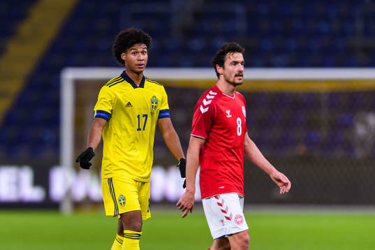 Jens-Lys Cajuste of Sweden and Thomas Delaney of Denmark
