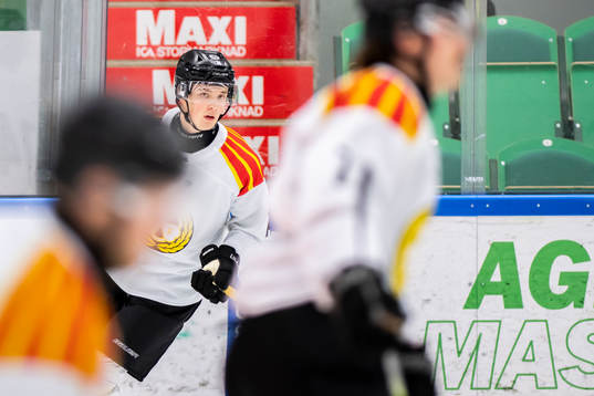 Brynäs Noel Gunler