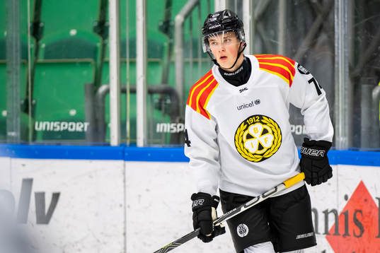 Brynäs Noel Gunler