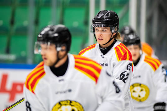 Brynäs Tom Hedberg