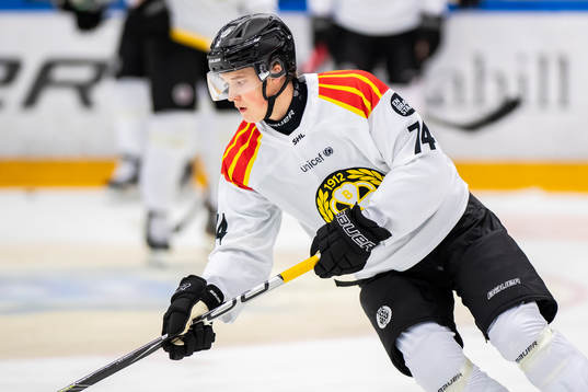 Brynäs Noel Gunler