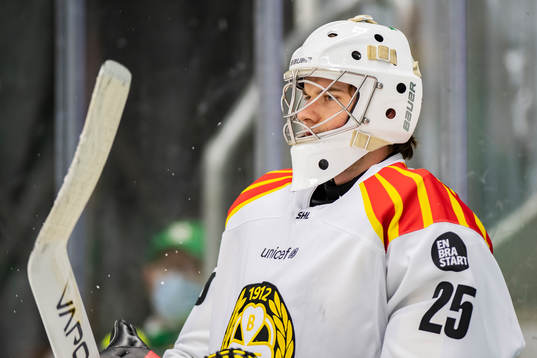 Brynäs målvakt Adam Matsson