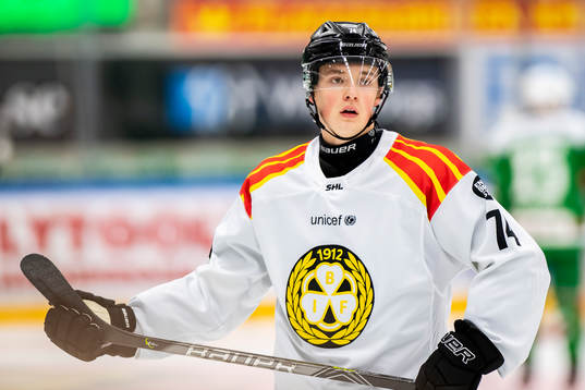 Brynäs Noel Gunler
