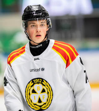 Brynäs Noel Gunler