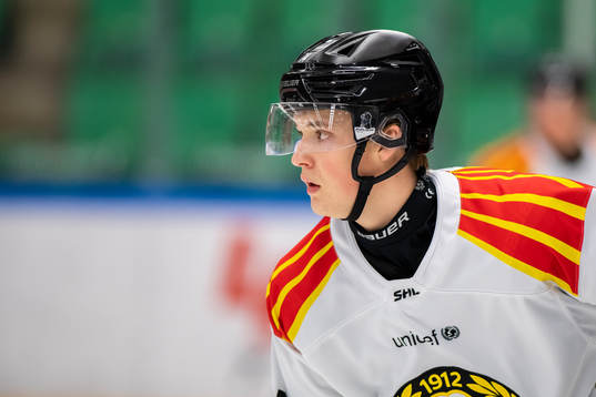 Brynäs Noel Gunler