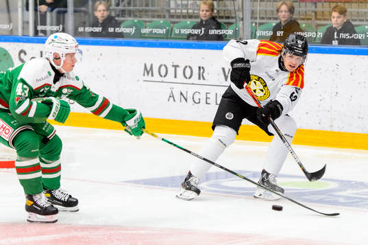 Brynäs Tom Hedberg och Rögles Olli Palola