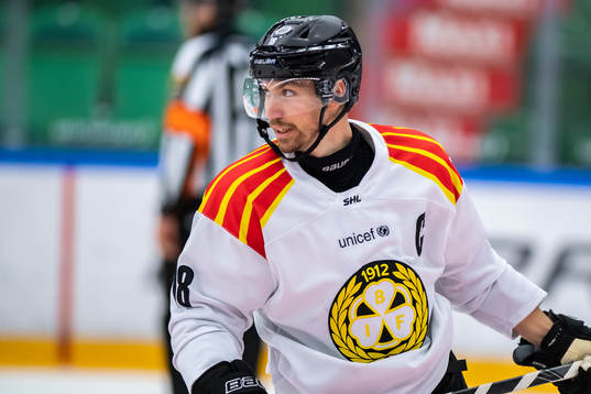 Brynäs Anton Rödin