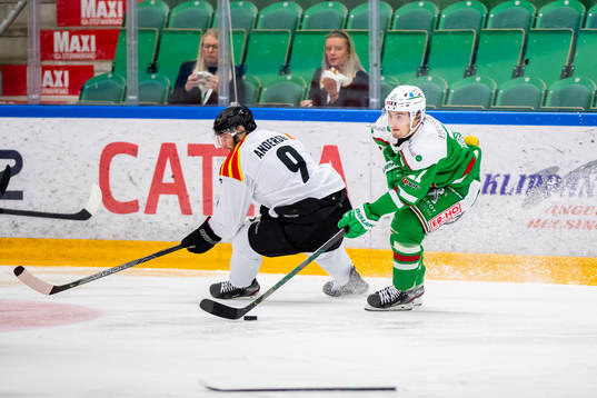 Rögles Nils Höglander och Brynäs Niclas Andersén