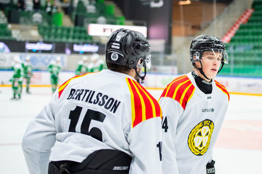 Brynäs Noel Gunler deppar